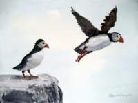 puffins_small.jpg