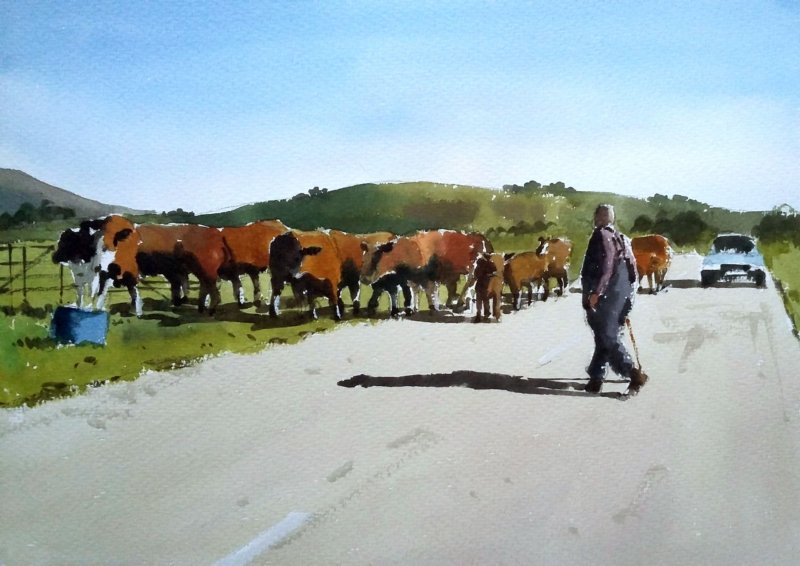 cattlecrossing.jpg