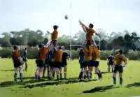 lineout_small.jpg